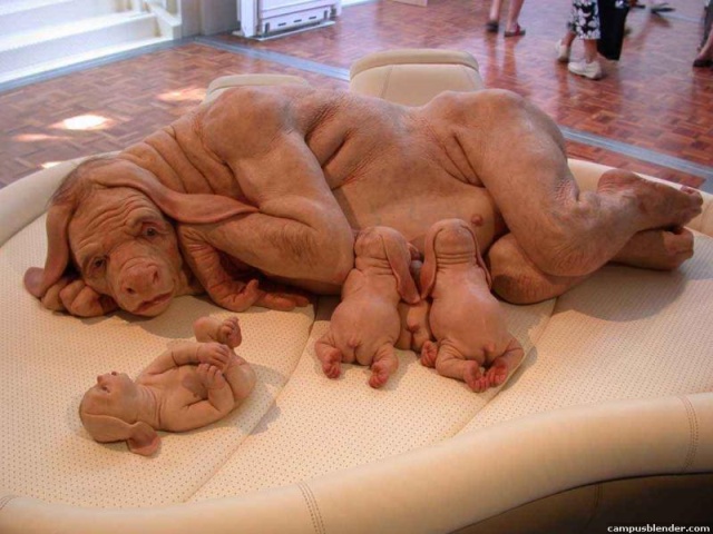 baby-pig-things